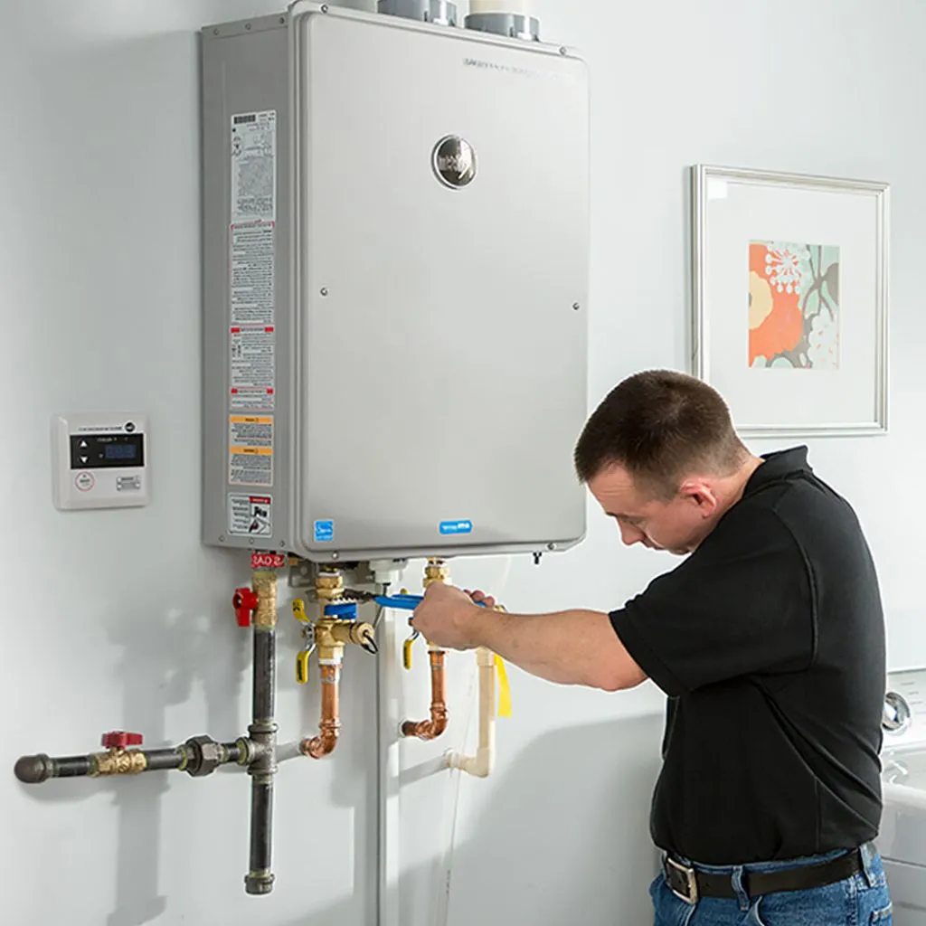 tankless water heater repair in Bellwood, NE